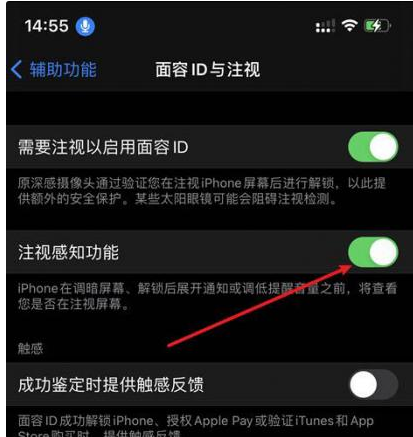 托里苹果14维修网点分享iPhone14注视感知功能有什么用 